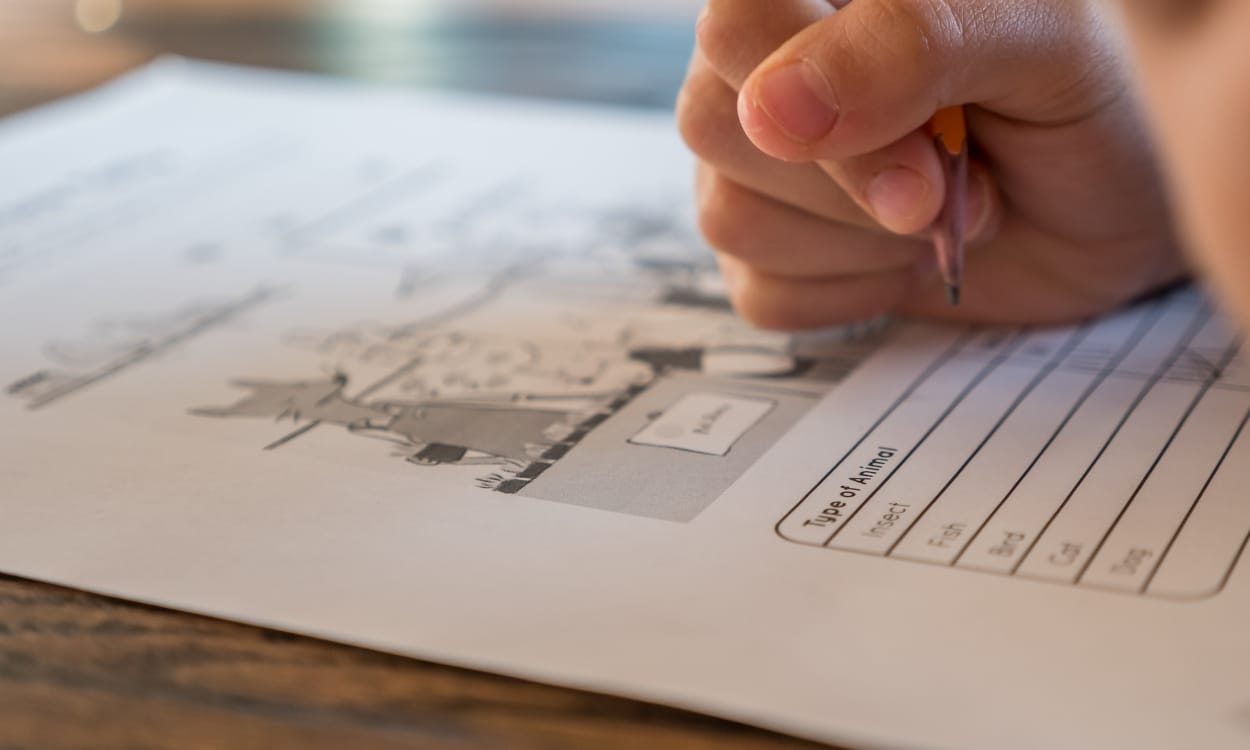 ergenlerde sınav kaygısı